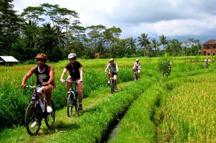 Nobody Inn Bali At Arya Guest House Ubud Eksteriør bilde